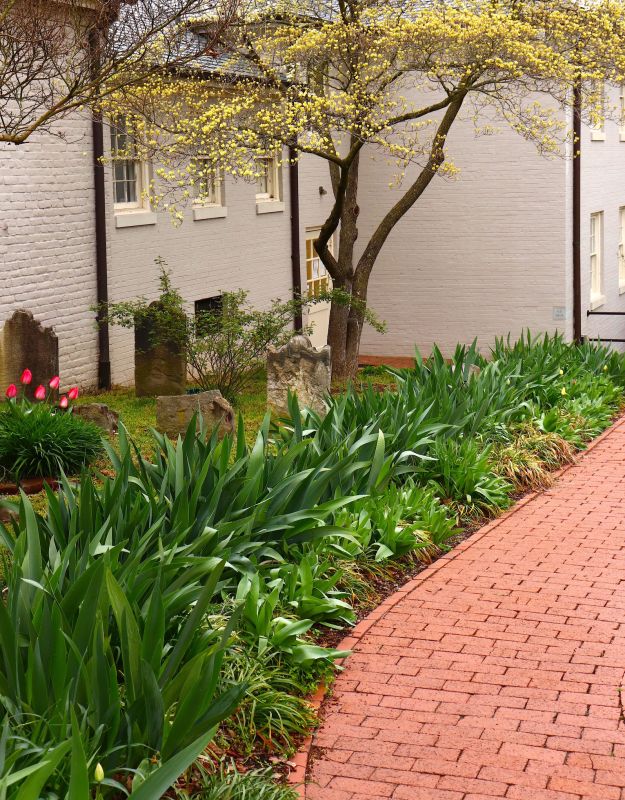 Brick Pathway Repair in Houston, TX