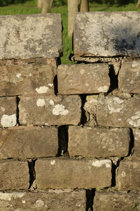 Stone Wall Repair in Missouri City, TX